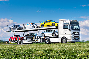 (VIDEO) Cea mai neobişnuită colecţie de Porsche din lume e scoasă la vânzare la pachet, cu tot cu un camion care să le transporte