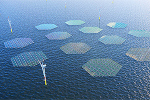Italia va avea cel mai mare parc maritim din Europa ce combină panouri fotovoltaice plutitoare inovative şi turbine eoliene flotante