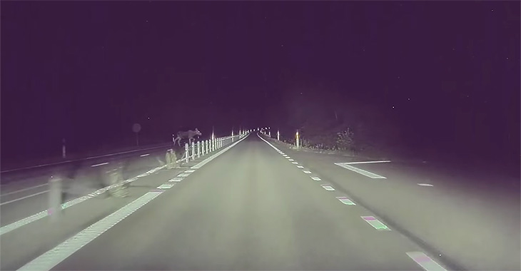 (VIDEO) Reacţie neînţeleasă a luminilor automate ale unei Tesla, la apariţia unui elan în faţa maşinii pe un traseu din Suedia